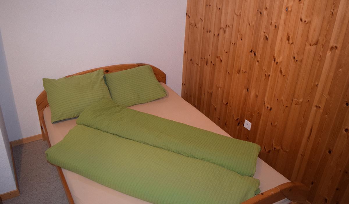 Hotel Aletschhorn بيلالب المظهر الخارجي الصورة